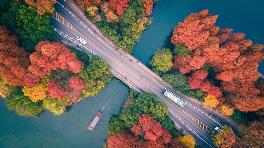 The Role of Sourcing and Procurement in Sustainability Initiatives