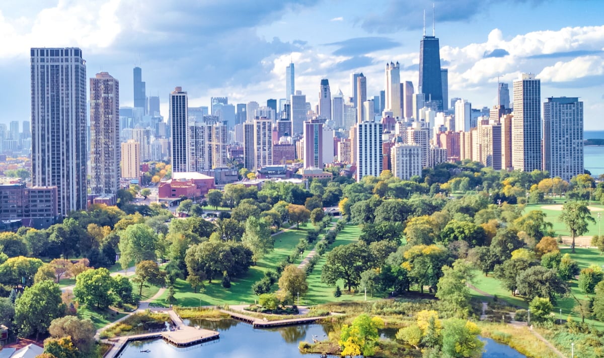 The Business's Guide to Carbon Offsetting
