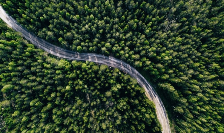 IoT and its Role in Sustainable Transportation