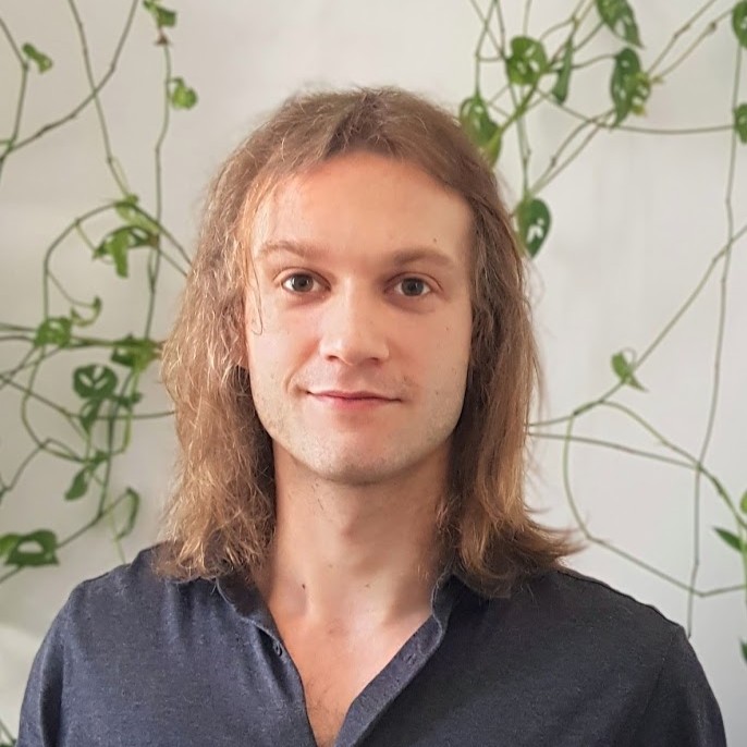 Wiktor Hawrylik