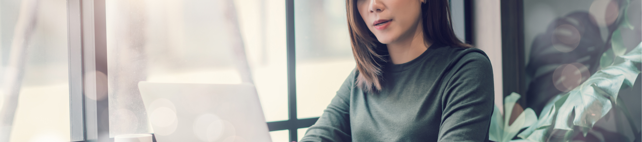 Lingaro Group | Services | Power BI