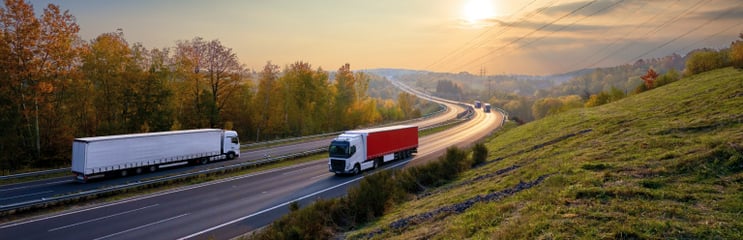 resilient supply chain