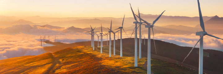 Sustainable Development Goals (SDGs)