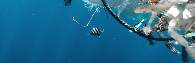 Growing a Greener Business With Sustainable Packaging, image 2