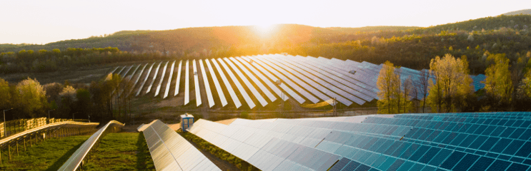 carbon offsetting 