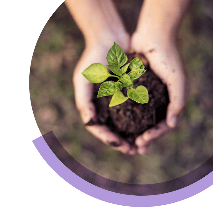carbon offsetting