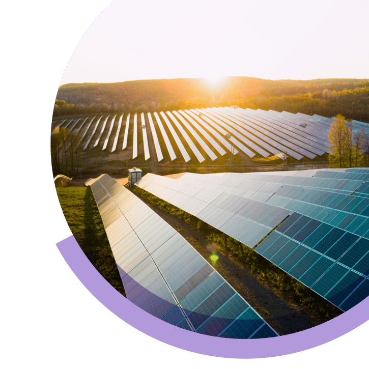 carbon offsetting 