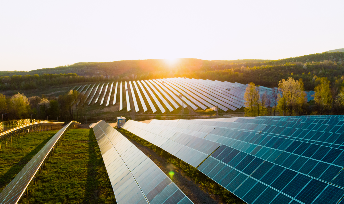 How Businesses Can Offset Their Carbon Footprint