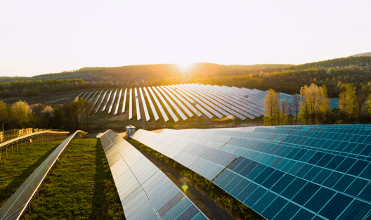 How Businesses Can Offset Their Carbon Footprint