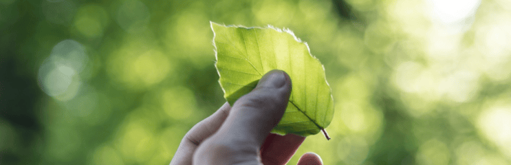external costs