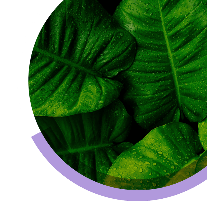 Greenwashing 