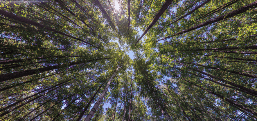 sustainability_lp_bg_mobile